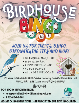 Birdhouse Bingo